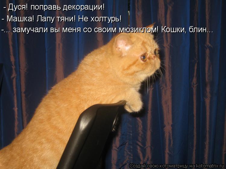 - Дуся! поправь декорации! - Машка! Лапу тяни! Не холтурь! -... замучали вы меня со своим мюзиклом! К... Котоматрица: - Дуся! поправь декорации! - Машка! Лапу тяни! Не холтурь! -... замучали вы меня со своим мюзиклом! Кошки, блин...