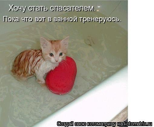 Хочу стать спасателем. Пока что вот в ванной тренеруюсь.... Котоматрица: Хочу стать спасателем. Пока что вот в ванной тренеруюсь.