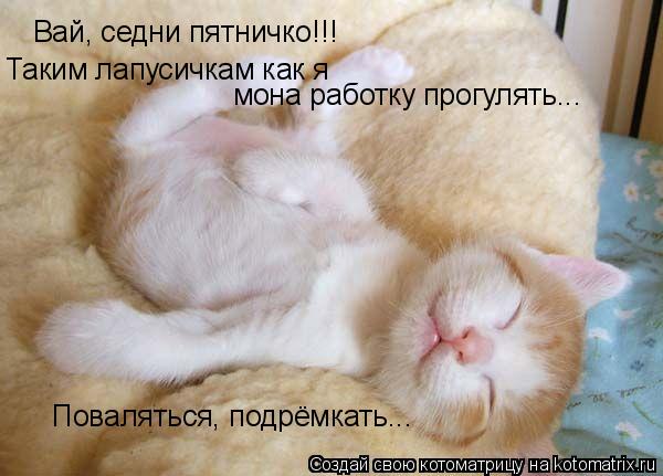Вай, седни пятничко!!! Поваляться, подрёмкать... Таким лапусичкам как я мона работку прогулять...... Котоматрица: Вай, седни пятничко!!! Поваляться, подрёмкать... Таким лапусичкам как я мона работку прогулять...