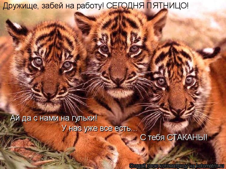 Ай да с нами на гульки! У нас уже все есть... С тебя СТАКАНЫ! Дружище, забей на работу! СЕГОДНЯ ПЯТНИ... Котоматрица: Ай да с нами на гульки! У нас уже все есть... С тебя СТАКАНЫ! Дружище, забей на работу! СЕГОДНЯ ПЯТНИЦО!