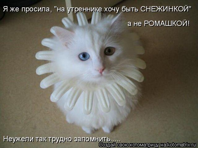 Я же просила, "на утреннике хочу быть СНЕЖИНКОЙ" а не РОМАШКОЙ! Неужели так трудно запомнить........ Котоматрица: Я же просила, "на утреннике хочу быть СНЕЖИНКОЙ" а не РОМАШКОЙ! Неужели так трудно запомнить.....