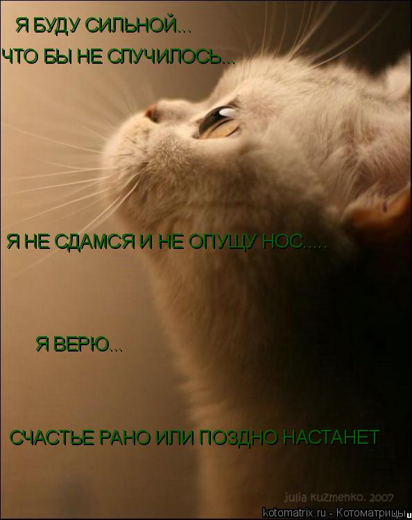 Я БУДУ СИЛЬНОЙ... ЧТО БЫ НЕ СЛУЧИЛОСЬ... Я НЕ СДАМСЯ И НЕ ОПУЩУ НОС..... Я ВЕРЮ... СЧАСТЬЕ РАНО ИЛИ П... Котоматрица: Я БУДУ СИЛЬНОЙ... ЧТО БЫ НЕ СЛУЧИЛОСЬ... Я НЕ СДАМСЯ И НЕ ОПУЩУ НОС..... Я ВЕРЮ... СЧАСТЬЕ РАНО ИЛИ ПОЗДНО НАСТАНЕТ