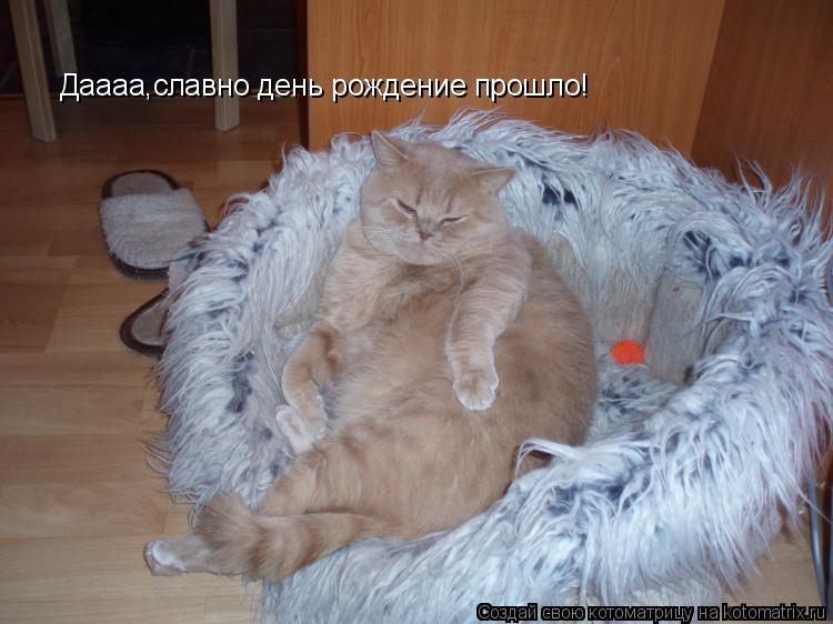 Даааа,славно день рождение прошло!... Котоматрица: Даааа,славно день рождение прошло!