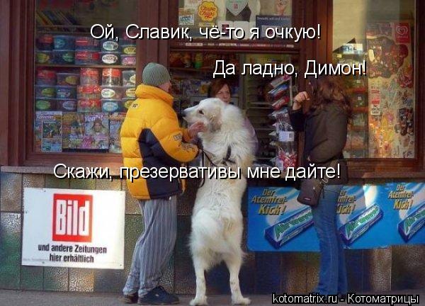 Ой, Славик, чё-то я очкую! Да ладно, Димон! Скажи, презервативы мне дайте!... Котоматрица: Ой, Славик, чё-то я очкую! Да ладно, Димон! Скажи, презервативы мне дайте!