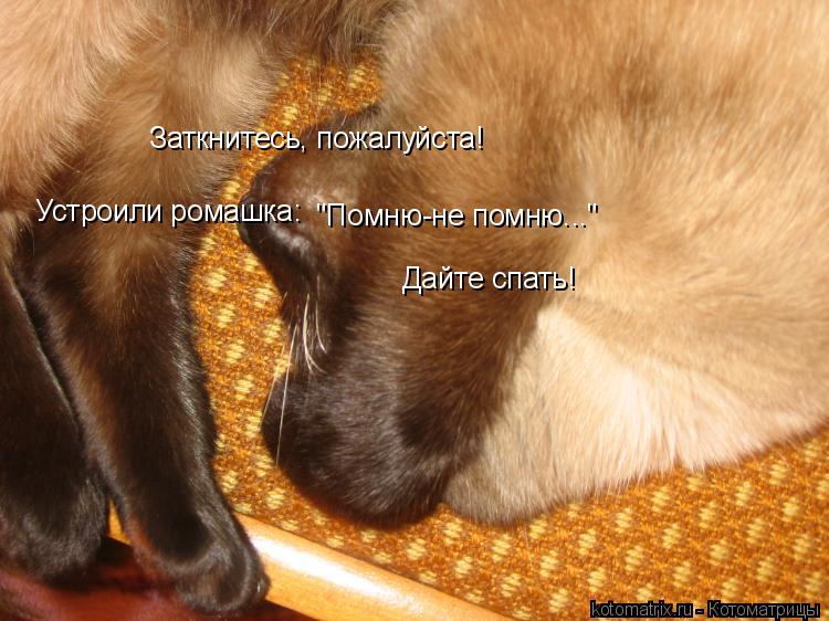 "Помню-не помню..." Дайте спать! Заткнитесь, пожалуйста! Устроили ромашка:... Котоматрица: "Помню-не помню..." Дайте спать! Заткнитесь, пожалуйста! Устроили ромашка:
