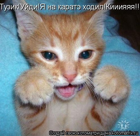 Котоматрица: Тузик!Уйди!Я на каратэ ходил!Кииияяя!!!