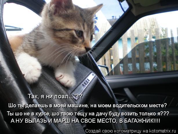 Так, я ни поал... ?? Шо ты делаешь в моей машине, на моем водительском месте? Ты шо не в курсе, шо тв... Котоматрица: Так, я ни поал... ?? Шо ты делаешь в моей машине, на моем водительском месте? Ты шо не в курсе, шо твою тёщу на дачу буду возить только я??? А НУ ВЫЛ