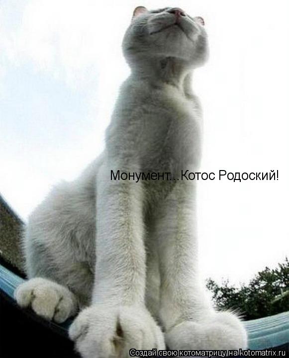 Монумент...Котос Родоский!... Котоматрица: Монумент...Котос Родоский!