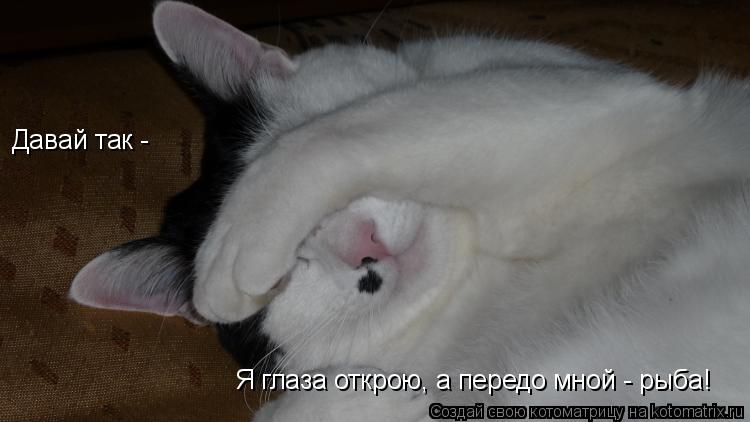 Давай так - Я глаза открою, а передо мной - рыба!... Котоматрица: Давай так - Я глаза открою, а передо мной - рыба!