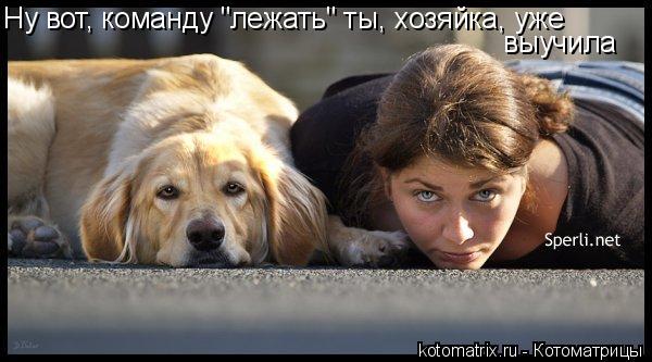 Ну вот, команду "лежать" ты, хозяйка, уже выучила... Котоматрица: Ну вот, команду "лежать" ты, хозяйка, уже выучила