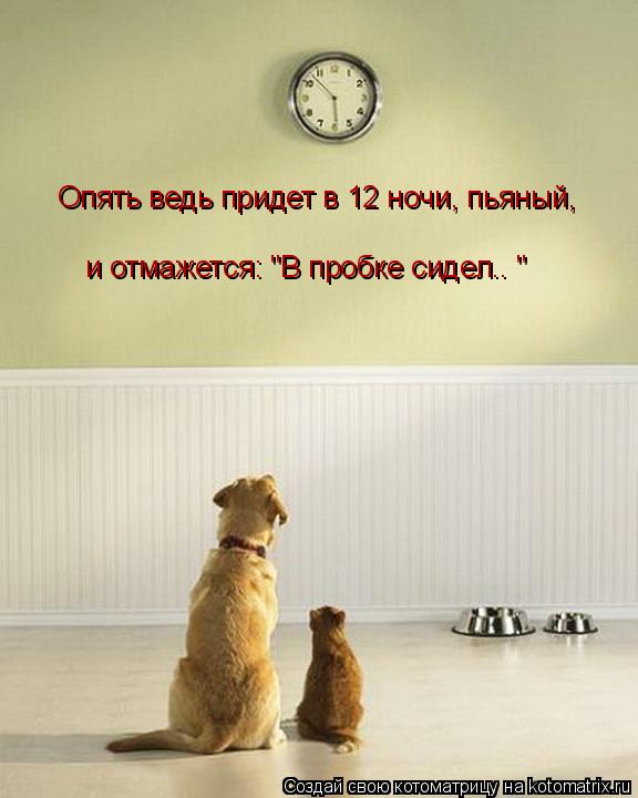 Опять ведь придет в 12 ночи, пьяный, и отмажется: "В пробке сидел.. "... Котоматрица: Опять ведь придет в 12 ночи, пьяный, и отмажется: "В пробке сидел.. "