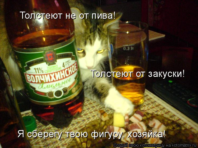 Толстеют не от пива! Толстеют от закуски! Я сберегу твою фигуру, хозяйка!... Котоматрица: Толстеют не от пива! Толстеют от закуски! Я сберегу твою фигуру, хозяйка!