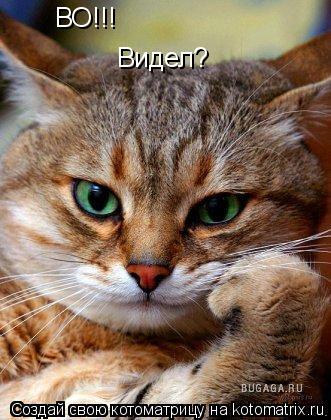 ВО!!! Видел?... Котоматрица: ВО!!! Видел?