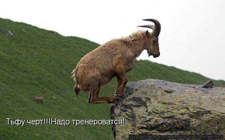 Тьфу черт!!!Надо тренероватся!... Котоматрица: Тьфу черт!!!Надо тренероватся!