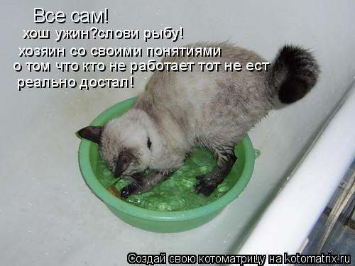Все сам! хош ужин?слови рыбу! хозяин со своими понятиями о том что кто не работает тот не ест реальн... Котоматрица: Все сам! хош ужин?слови рыбу! хозяин со своими понятиями о том что кто не работает тот не ест реально достал!