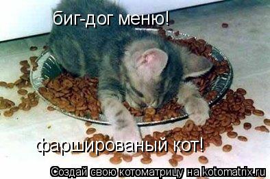 биг-дог меню! фаршированый кот!... Котоматрица: биг-дог меню! фаршированый кот!