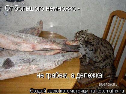 От большого немножко - не грабеж, а дележка!... Котоматрица: От большого немножко - не грабеж, а дележка!