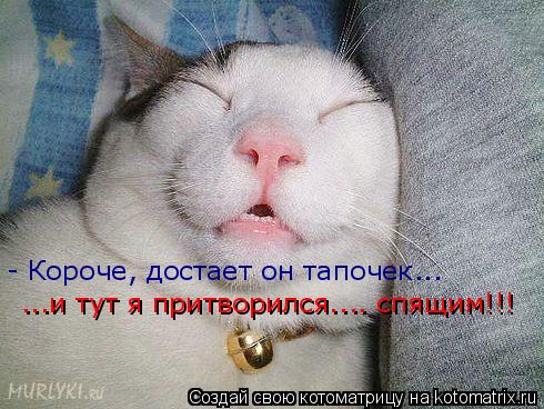 - Короче, достает он тапочек... ...и тут я притворился.... спящим!!!... Котоматрица: - Короче, достает он тапочек... ...и тут я притворился.... спящим!!!