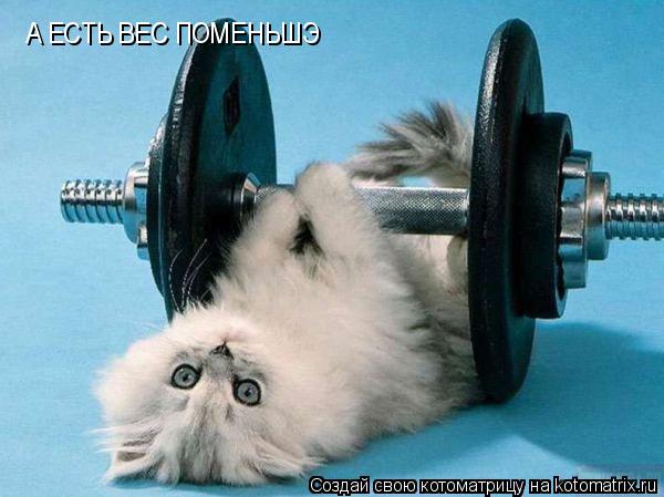 Котоматрица: А ЕСТЬ ВЕС ПОМЕНЬШЭ