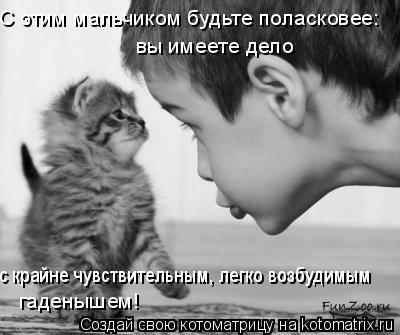 С этим мальчиком будьте поласковее: вы имеете дело с крайне чувствительным, легко возбудимым гаденыш... Котоматрица: С этим мальчиком будьте поласковее: вы имеете дело с крайне чувствительным, легко возбудимым гаденышем!