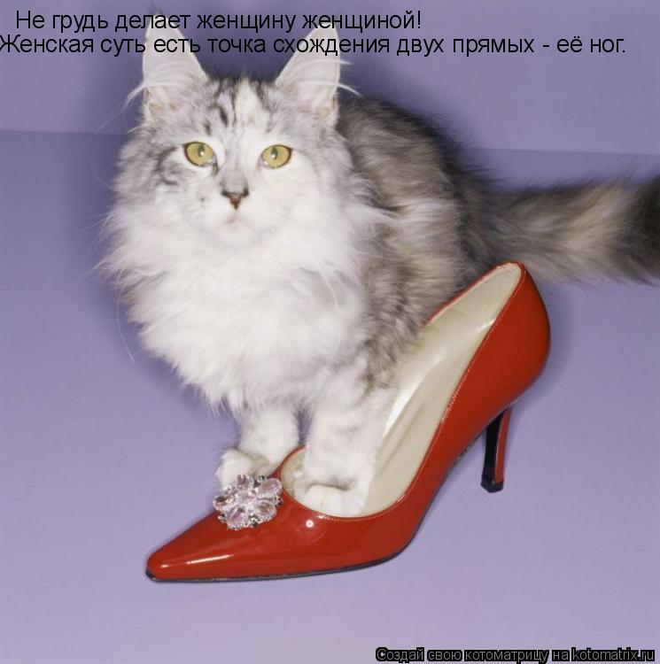 Не грудь делает женщину женщиной! Женская суть есть точка схождения двух прямых - её ног.... Котоматрица: Не грудь делает женщину женщиной! Женская суть есть точка схождения двух прямых - её ног.
