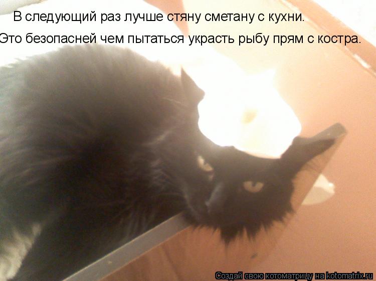 В следующий раз лучше стяну сметану с кухни. Это безопасней чем пытаться украсть рыбу прям с костра.... Котоматрица: В следующий раз лучше стяну сметану с кухни. Это безопасней чем пытаться украсть рыбу прям с костра.