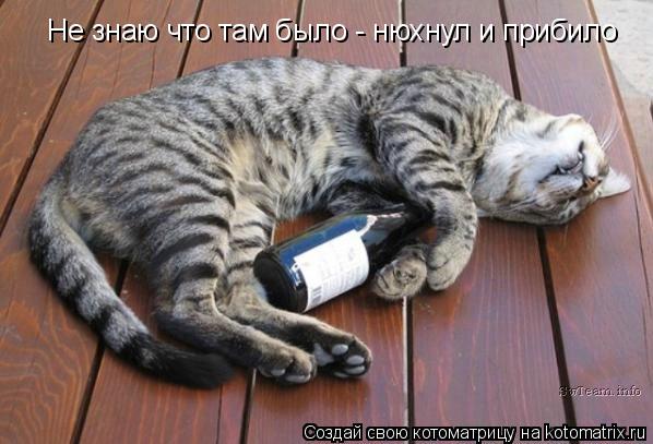 Котоматрица: Не знаю что там было - нюхнул и прибило