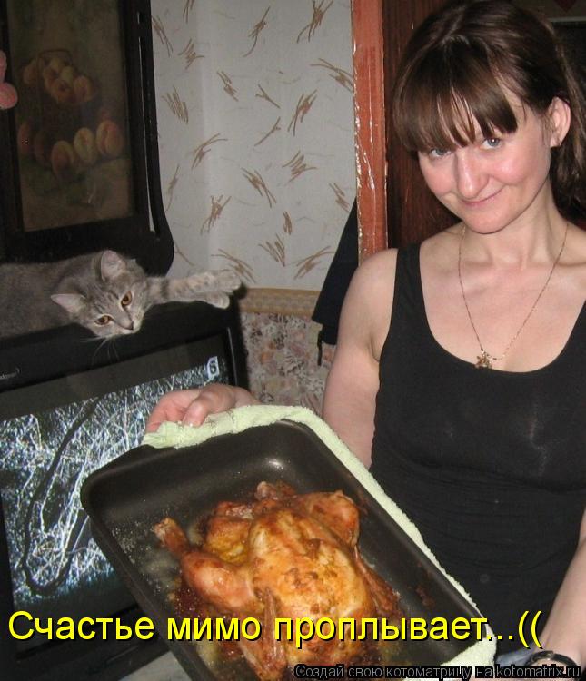 Котоматрица: Счастье мимо проплывает...((