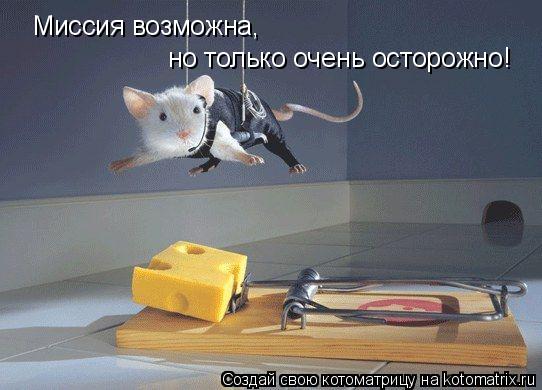 Котоматрица: Миссия возможна,  но только очень осторожно!