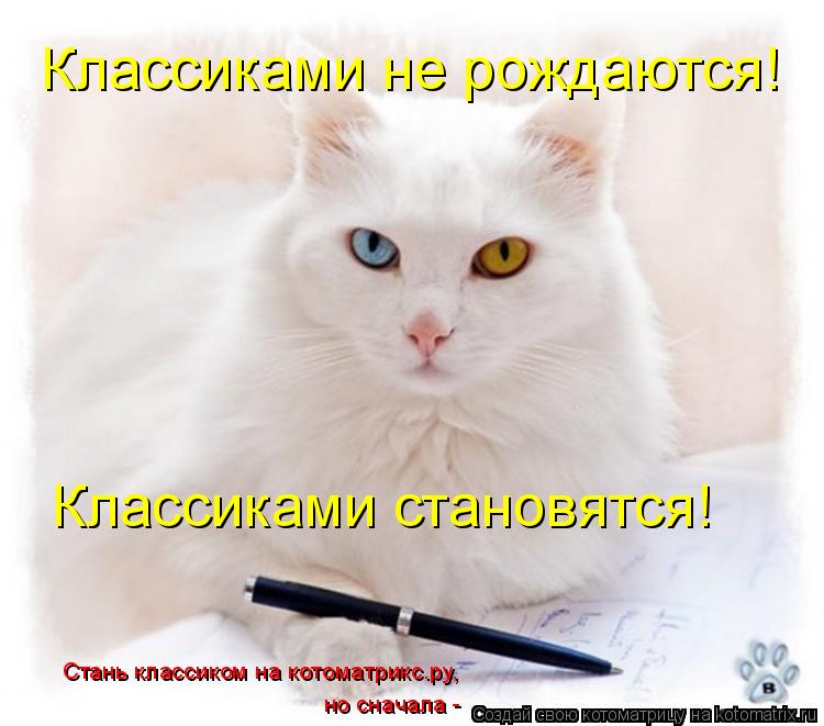 Стань классиком на котоматрикс.ру, но сначала - Классиками не рождаются! Классиками становятся!... Котоматрица: Стань классиком на котоматрикс.ру, но сначала - Классиками не рождаются! Классиками становятся!