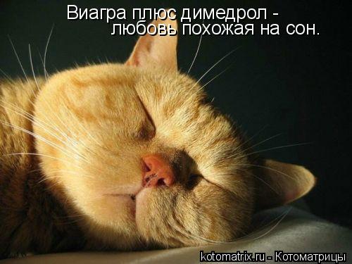 Виагра плюс димедрол - любовь похожая на сон.... Котоматрица: Виагра плюс димедрол - любовь похожая на сон.