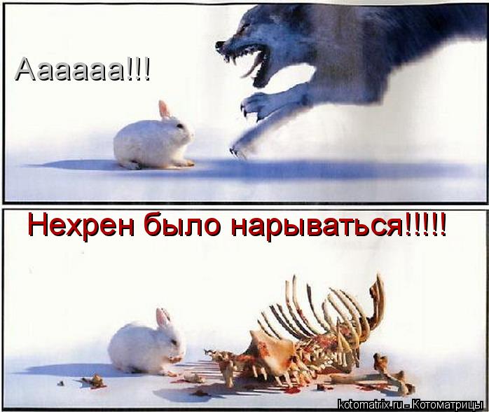 Нехрен было нарываться!!!!! Аааааа!!!... Котоматрица: Нехрен было нарываться!!!!! Аааааа!!!