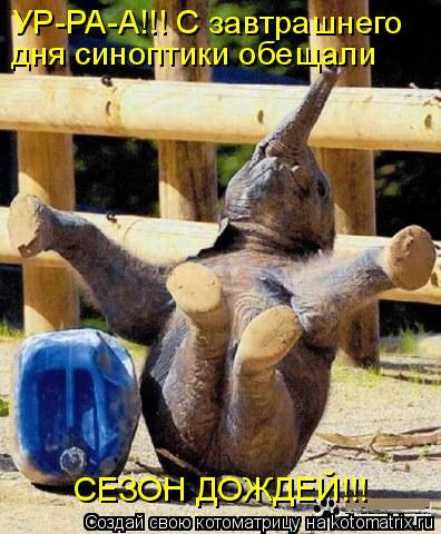УР-РА-А!!! С завтрашнего дня синоптики обещали СЕЗОН ДОЖДЕЙ!!!... Котоматрица: УР-РА-А!!! С завтрашнего дня синоптики обещали СЕЗОН ДОЖДЕЙ!!!