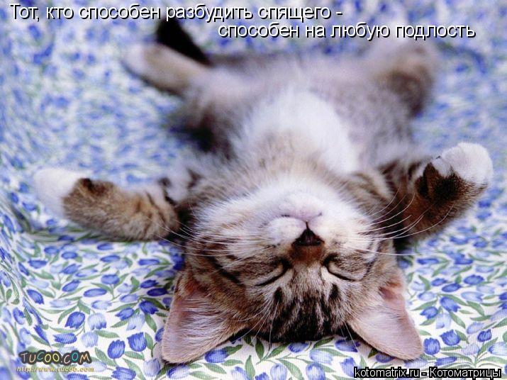 Котоматрица: Тот, кто способен разбудить спящего -  способен на любую подлость