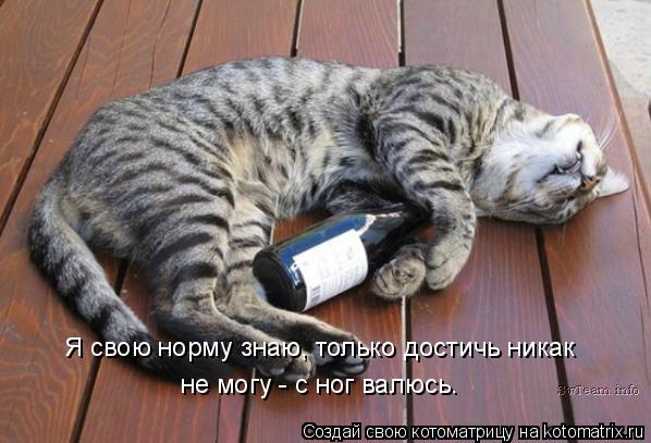 Котоматрица: Я свою норму знаю, только достичь никак   не могу - с ног валюсь.