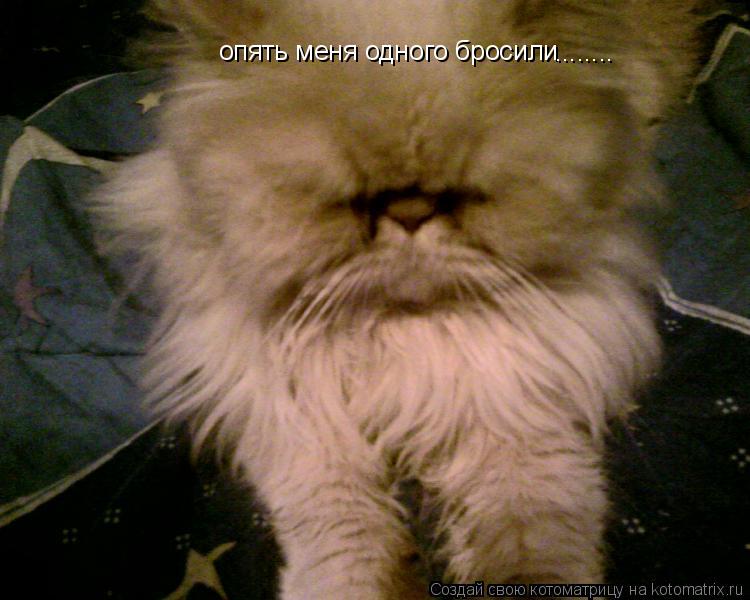 опять меня одного бросили ........... Котоматрица: опять меня одного бросили ........