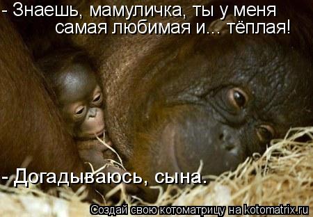 - Знаешь, мамуличка, ты у меня самая любимая и... тёплая! - Догадываюсь, сына.... Котоматрица: - Знаешь, мамуличка, ты у меня самая любимая и... тёплая! - Догадываюсь, сына.