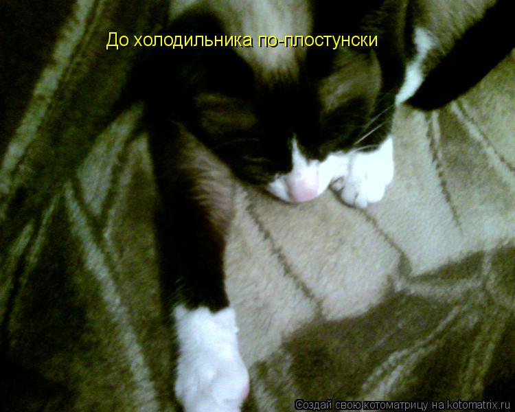 До холодильника по-плостунски... Котоматрица: До холодильника по-плостунски