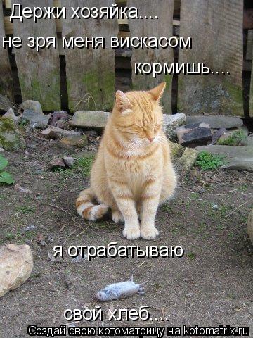 Держи хозяйка.... не зря меня вискасом кормишь.... я отрабатываю свой хлеб....... Котоматрица: Держи хозяйка.... не зря меня вискасом кормишь.... я отрабатываю свой хлеб....