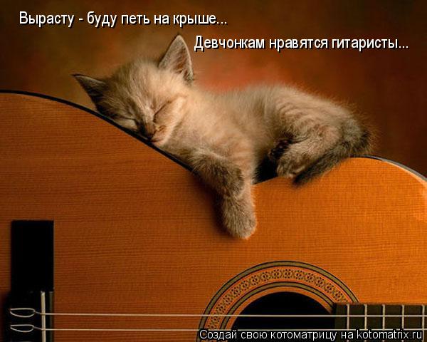 Девчонкам нравятся гитаристы... Вырасту - буду петь на крыше...... Котоматрица: Девчонкам нравятся гитаристы... Вырасту - буду петь на крыше...