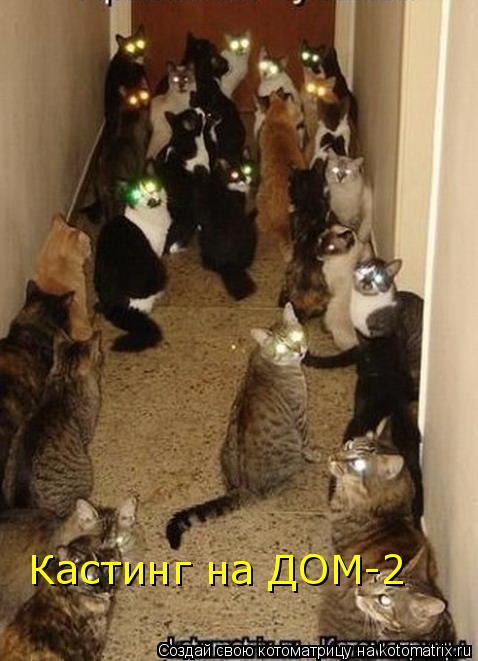 Кастинг на ДОМ-2... Котоматрица: Кастинг на ДОМ-2