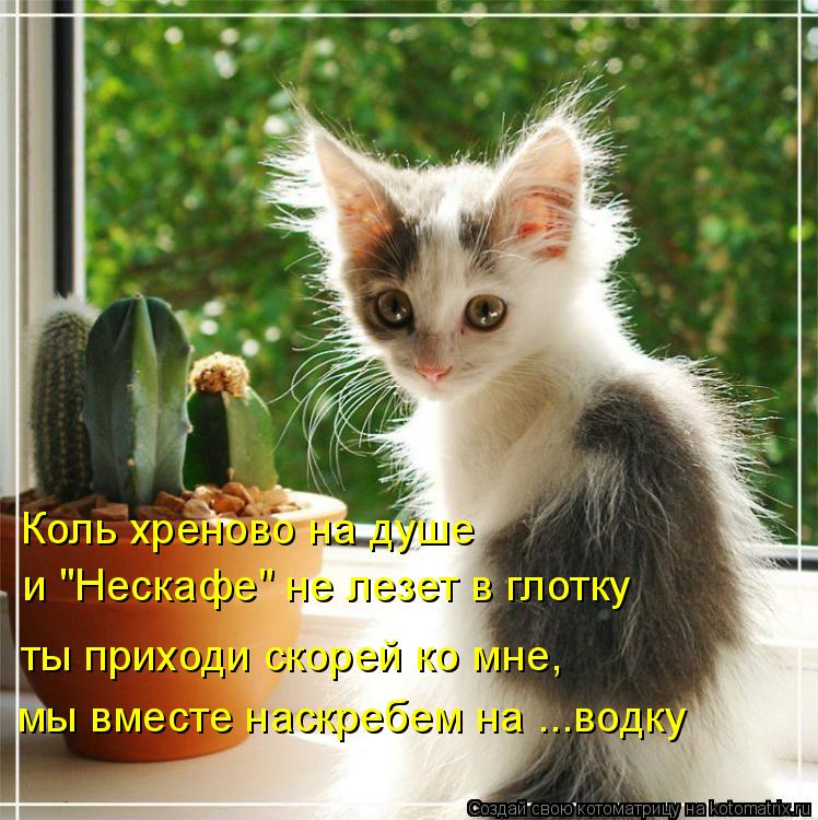 мы вместе наскребем на ...водку ты приходи скорей ко мне, и "Нескафе" не лезет в глотку Коль хреново ... Котоматрица: мы вместе наскребем на ...водку ты приходи скорей ко мне, и "Нескафе" не лезет в глотку Коль хреново на душе