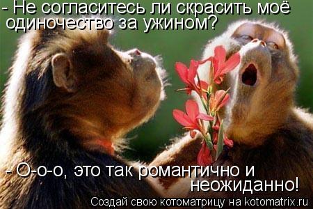- Не согласитесь ли скрасить моё одиночество за ужином? - О-о-о, это так романтично и неожиданно!... Котоматрица: - Не согласитесь ли скрасить моё одиночество за ужином? - О-о-о, это так романтично и неожиданно!
