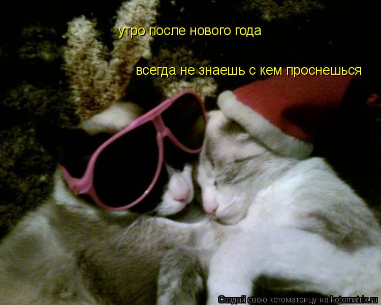 утро после нового года всегда не знаешь с кем проснешься... Котоматрица: утро после нового года всегда не знаешь с кем проснешься