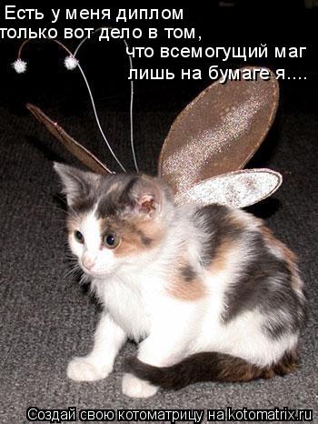 Есть у меня диплом только вот дело в том, что всемогущий маг лишь на бумаге я....... Котоматрица: Есть у меня диплом только вот дело в том, что всемогущий маг лишь на бумаге я....