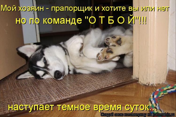 Мой хозяин - прапорщик и хотите вы или нет наступает темное время суток... но по команде "О Т Б О Й"!... Котоматрица: Мой хозяин - прапорщик и хотите вы или нет наступает темное время суток... но по команде "О Т Б О Й"!!!