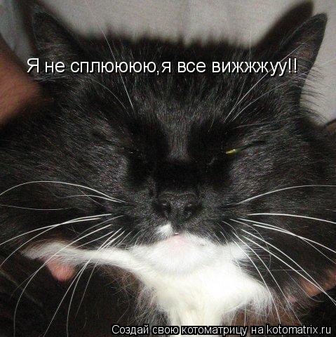 Котоматрица: Я не сплюююю,я все вижжжуу!!