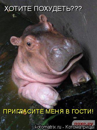 ХОТИТЕ ПОХУДЕТЬ??? ПРИГЛАСИТЕ МЕНЯ В ГОСТИ!... Котоматрица: ХОТИТЕ ПОХУДЕТЬ??? ПРИГЛАСИТЕ МЕНЯ В ГОСТИ!