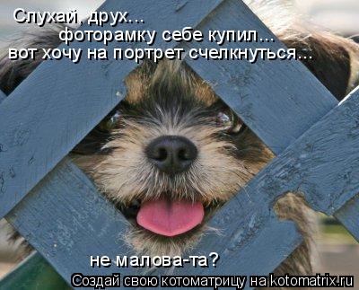 Слухай, друх... фоторамку себе купил... не малова-та? вот хочу на портрет счелкнуться...... Котоматрица: Слухай, друх... фоторамку себе купил... не малова-та? вот хочу на портрет счелкнуться...