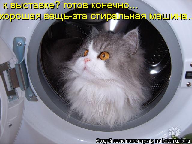к выставке? готов конечно... хорошая вещь-эта стиральная машина...... Котоматрица: к выставке? готов конечно... хорошая вещь-эта стиральная машина...